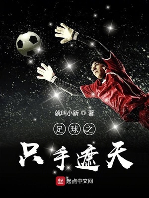 足球之只手遮天百度网盘