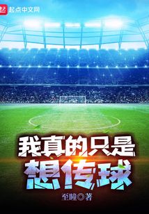 我真的只想打球 小说