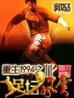 重生1994之足坛风云Ⅱ 小说