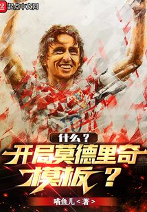 什么?开局莫德里奇模板?小说