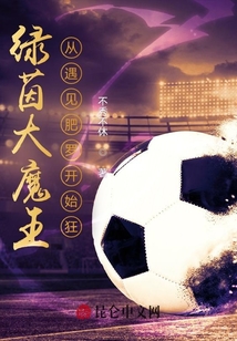 绿茵大盗
