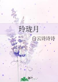 玲珑月晋江文学城