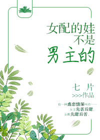 女配的娃不是男主的 小说