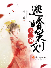女主是公主逃婚的小说