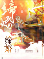 缔婚txt