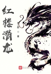 红楼潜龙女主有几个