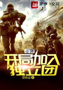 亮剑开局独立团代理团长
