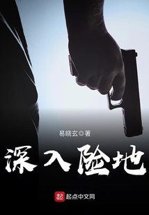 深入险地 易晓玄下载