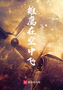 雏鹰起飞的视频