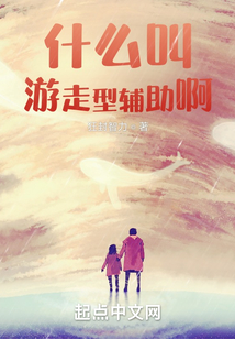什么叫游走型辅助啊小说狂封智力