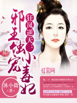 邪王蚀宠小毒妃 小说