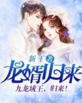 龙婿归来宁萧