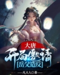 大唐开局邀请老李和老房当土匪