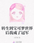 转生到宝可梦世界后我成了冠军