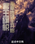 君王旗帜：从草地领主开始