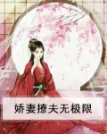 重生娇妻开启撩夫模式