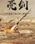 亮剑：我成了独立团二营长