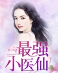 最强小医仙叶晨小说免费阅读