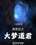 莽荒纪道君划分