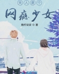 夫人是个网瘾少女