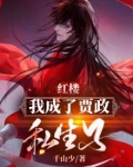 红楼之我是贾琮