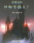 你管这叫防御型领主？