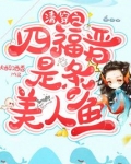 清穿之四福晋的