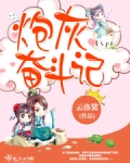 炮灰奋斗记