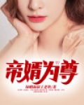 帝婿顶点