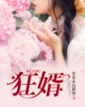 狂婿下山凌天苏清雅免费阅读
