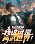 我神豪高冷男神 小说