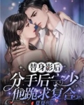替身影后,分手后宁少他跪求复合在线阅读