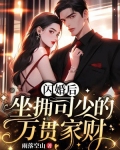 闪婚深情,司少的心尖宠