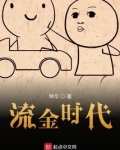 流金时代电视剧