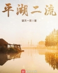 平湖二中是指哪所学校