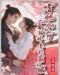 首辅轿妻