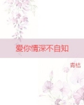 爱你情深不自知 小说