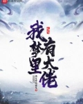 我梦里有大佬