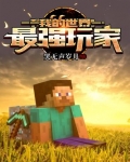 我的世界最强玩家小说免费阅读