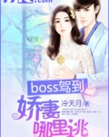 boss驾到：娇妻哪里逃