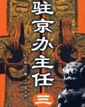 驻京办主任（三）