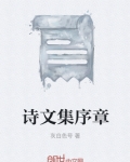 诗文集序章
