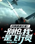开局空难小说