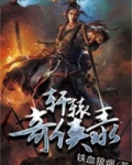 轩辕奇侠录