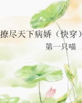 撩尽天下病娇百度云网盘