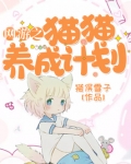 猫咪养成计划网王