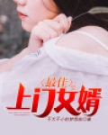最佳上门女婿
