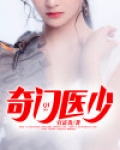 奇门医少