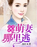萌妻哪里逃 免费阅读