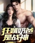 狂婿奶爸是战神